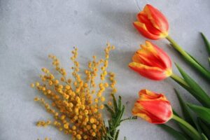 Sow Seeds