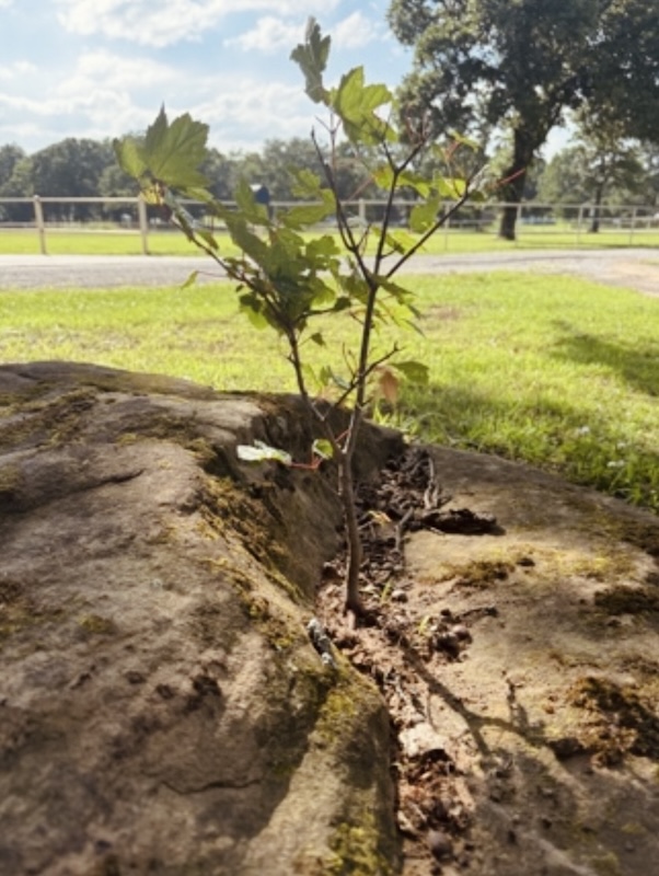 Part One: When the Ground Isn’t Ideal